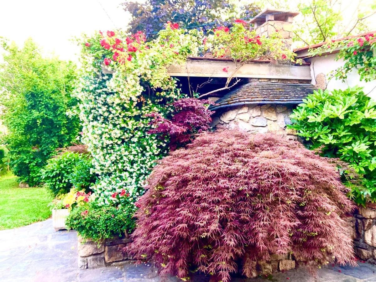 Tuscany To Love - Holiday Home - Casa Vacanze 尼阿博勒皮耶韦 外观 照片